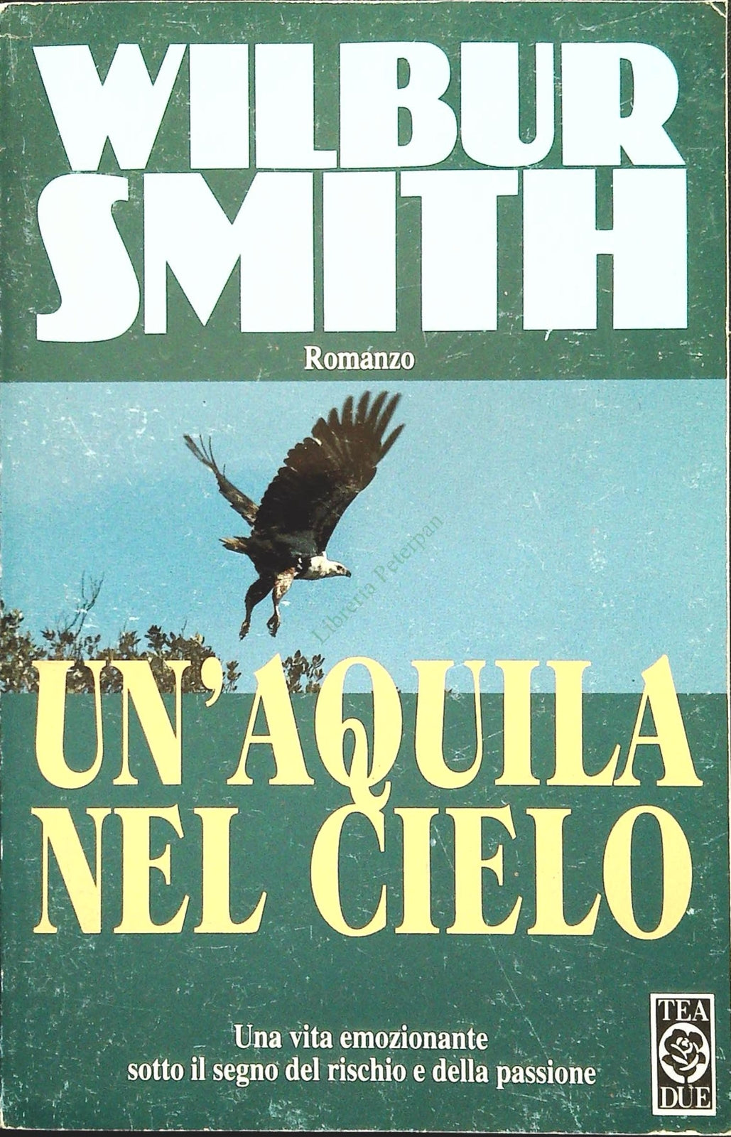 UN'AQUILA NEL CIELO - WILBUR SMITH - TEA DUE 1997 - OUTLET DEL LIBRO