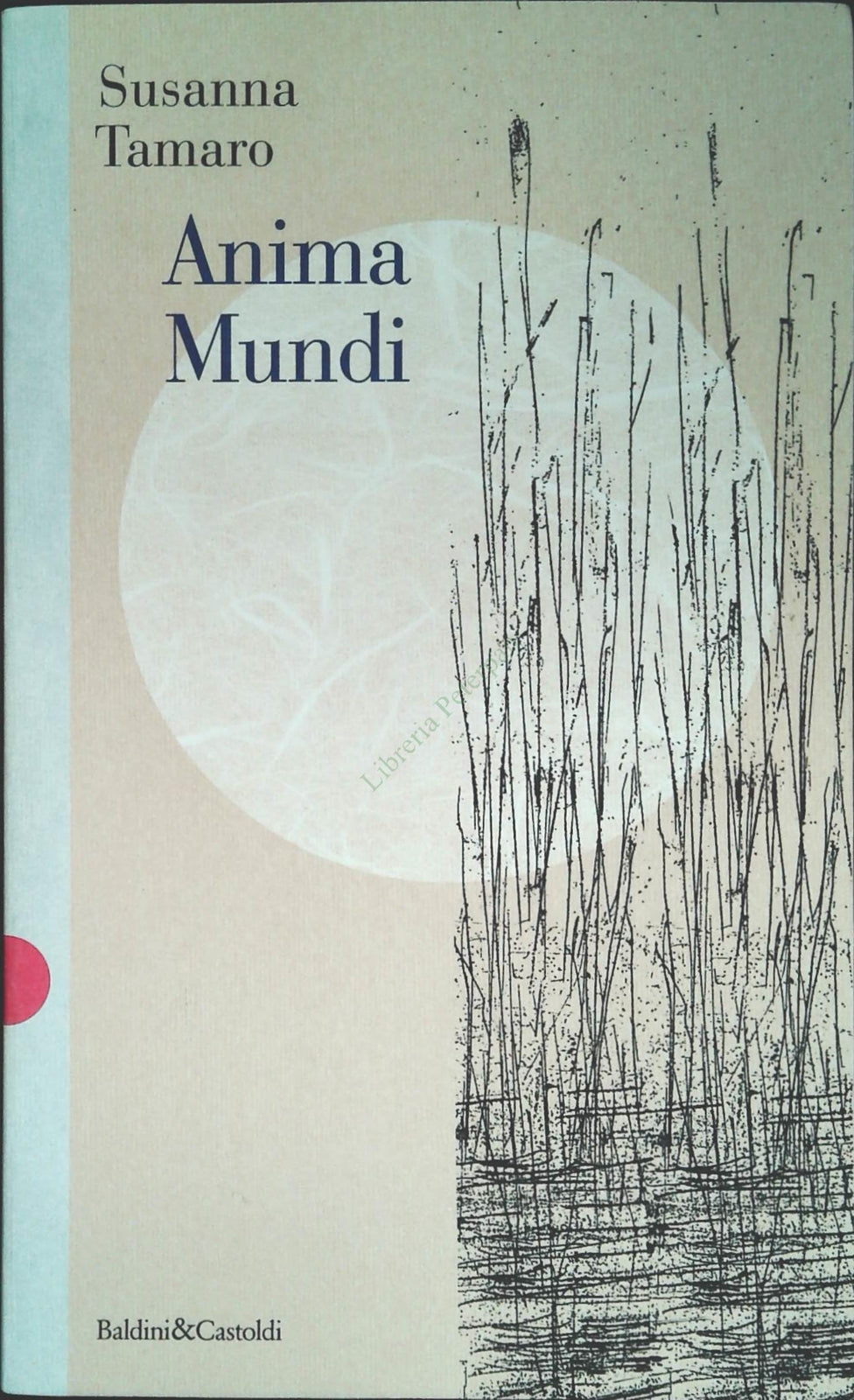 ANIMA MUNDI - SUSANNA TAMARO - BALDINI e CASTOLDI 1997 - OUTLET DEL LIBRO