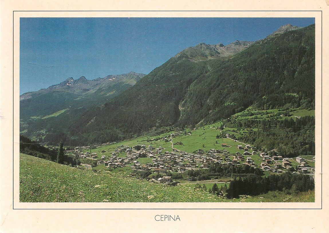 CEPINA - PANORAMA - V2006