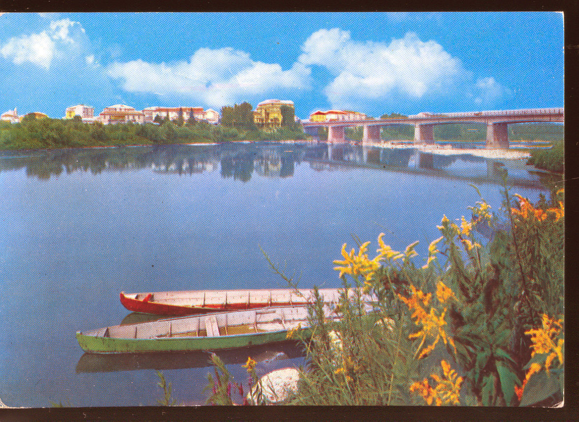CASALE MONFERRATO - PONTE SUL PO - V1968 - ACQUERELLATA