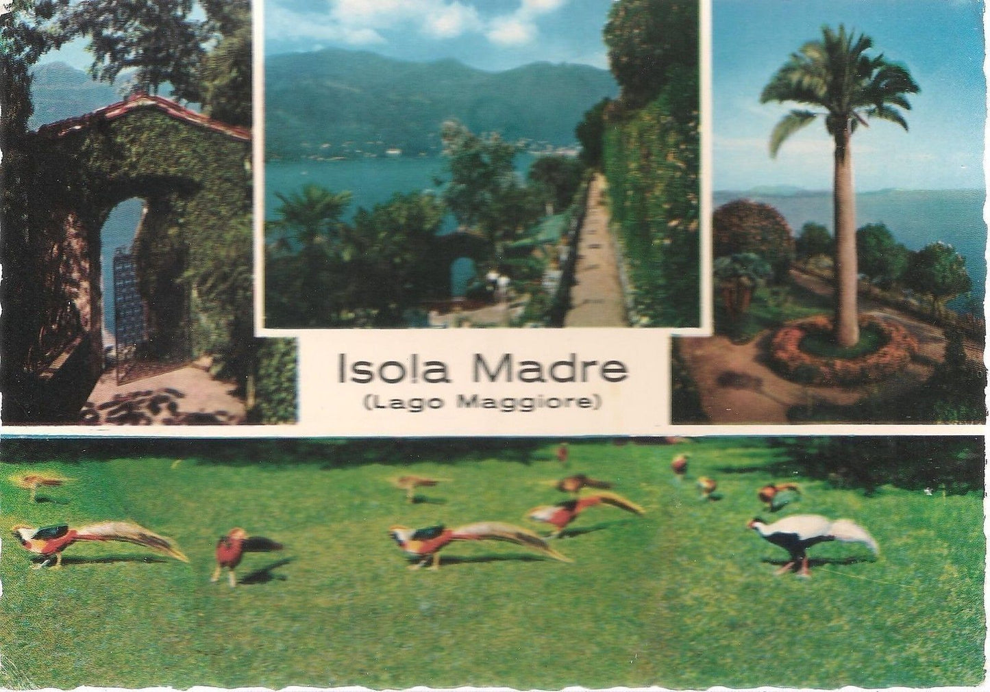 ISOLA MADRE - LAGO MAGGIORE - 4 VEDUTE - NV