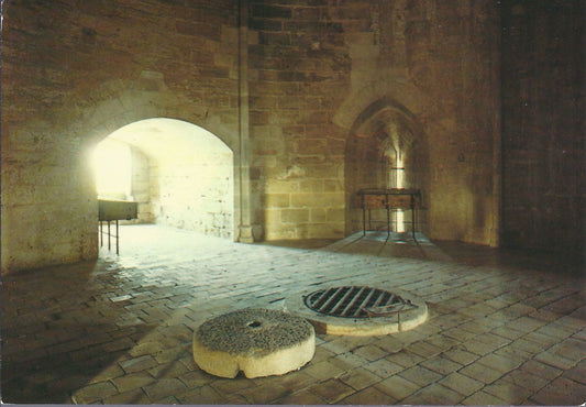 AIGUES-MORTES - SALLE DES CHEVALIERS - SALLE DES PRISONNIERE