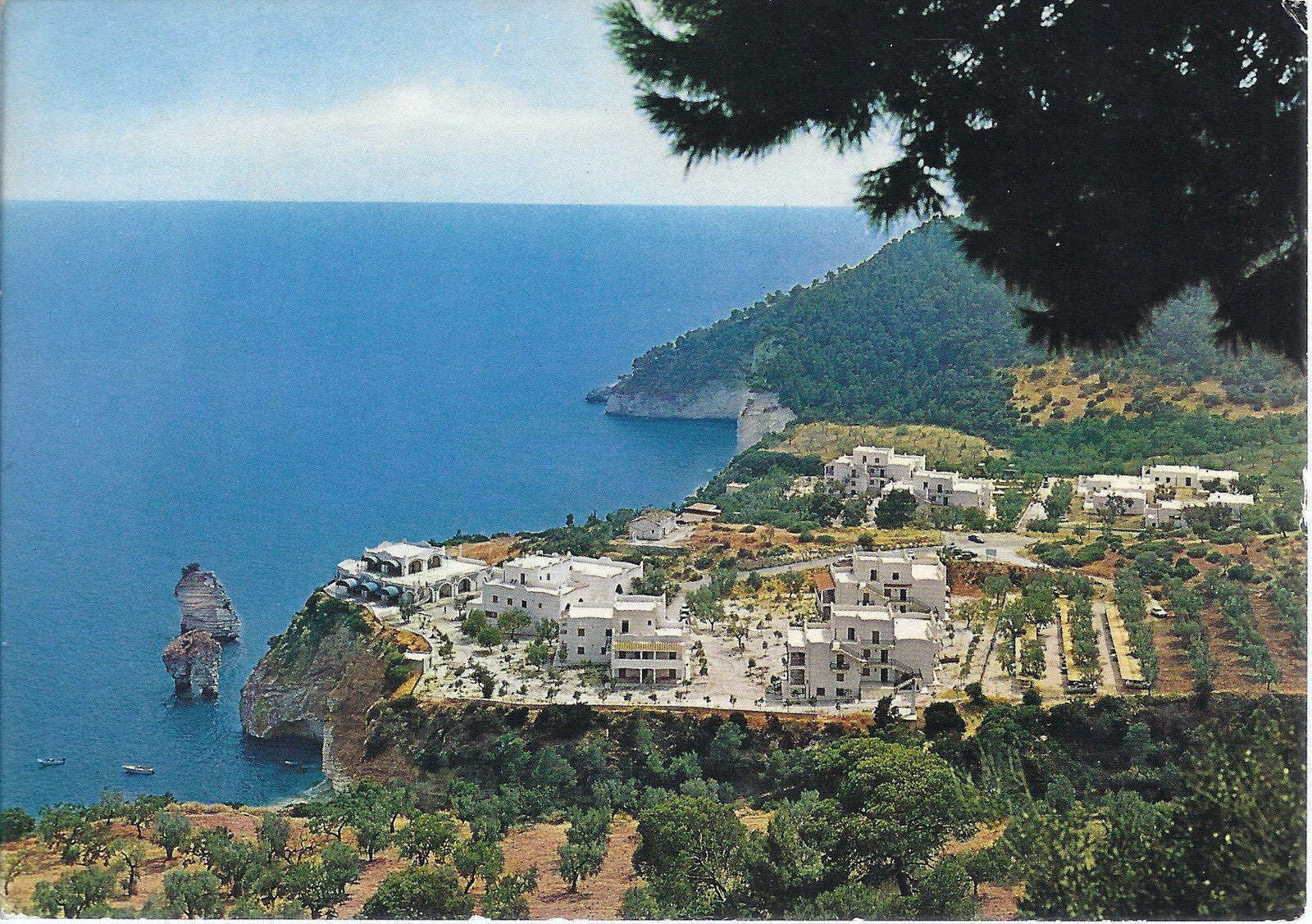 MATTINATA - HOTEL BAIA DELLE ZAGARE - NV