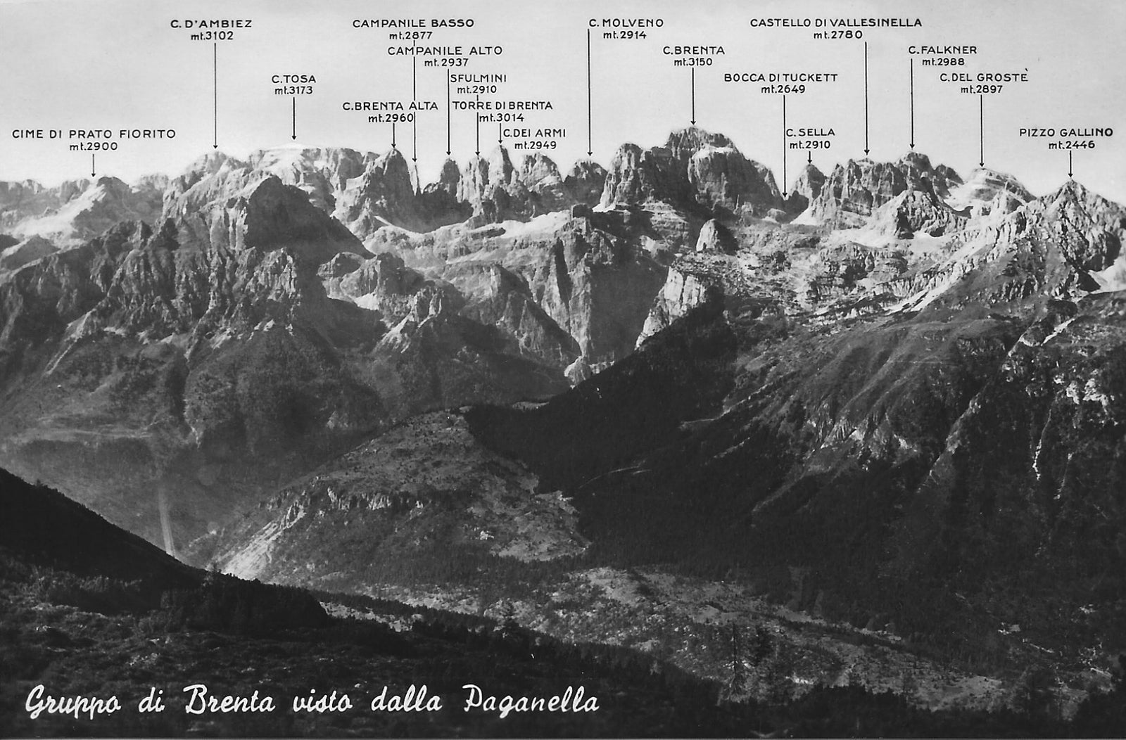 GRUPPO DI BRENTA VISTO DALLA PAGANELLA - PANORAMA - NV