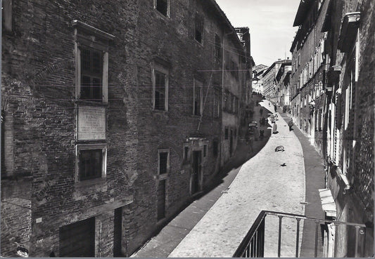 URBINO - CASA E CONTRADA RAFFAELLO - NV