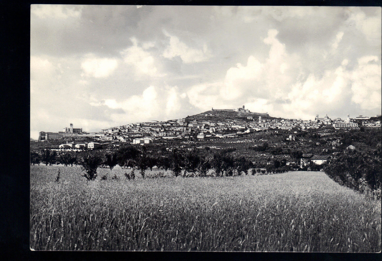 ASSISI - PANORAMA DELLA PIANURA UMBRA - NV