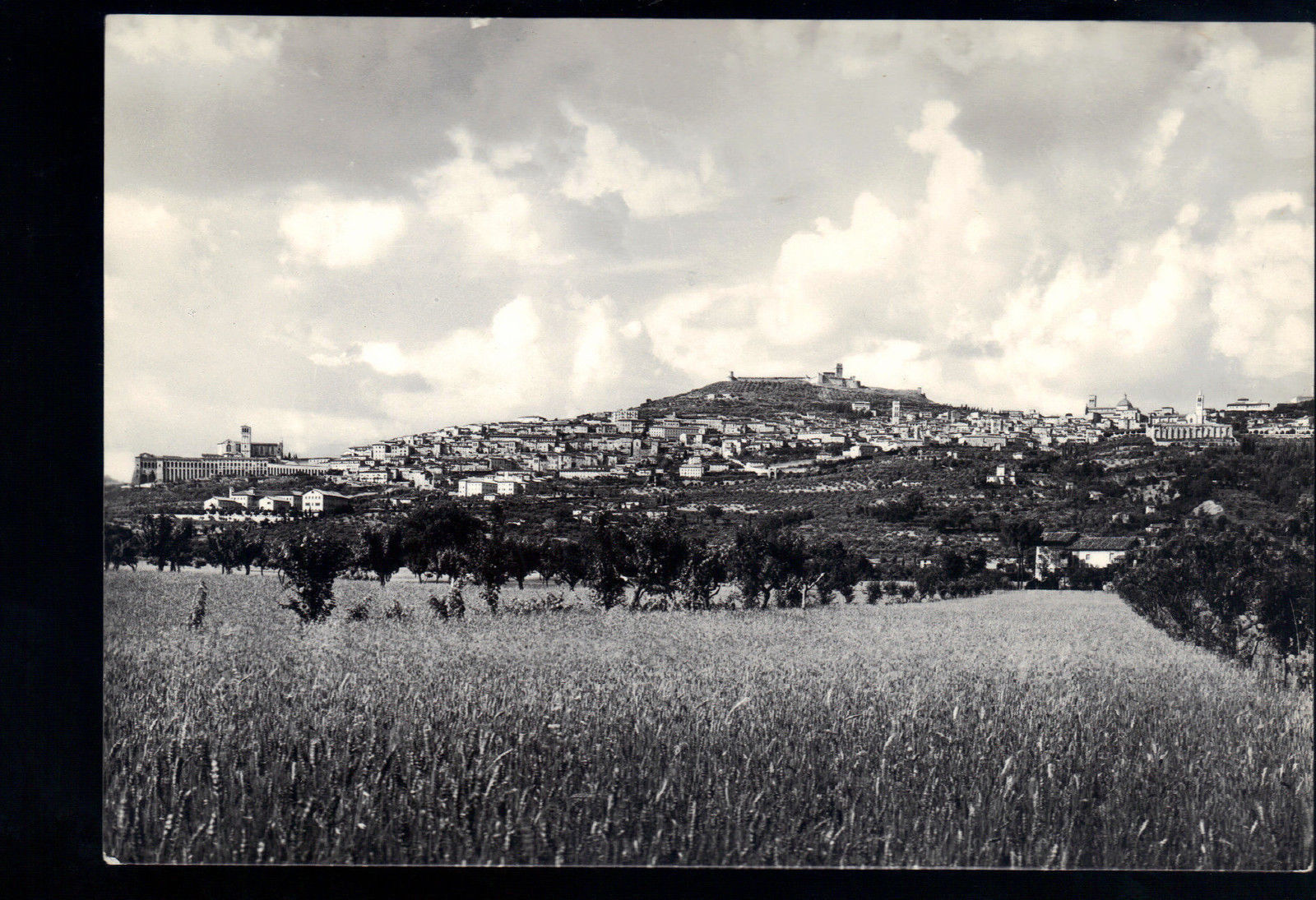 ASSISI - PANORAMA DELLA PIANURA UMBRA - NV