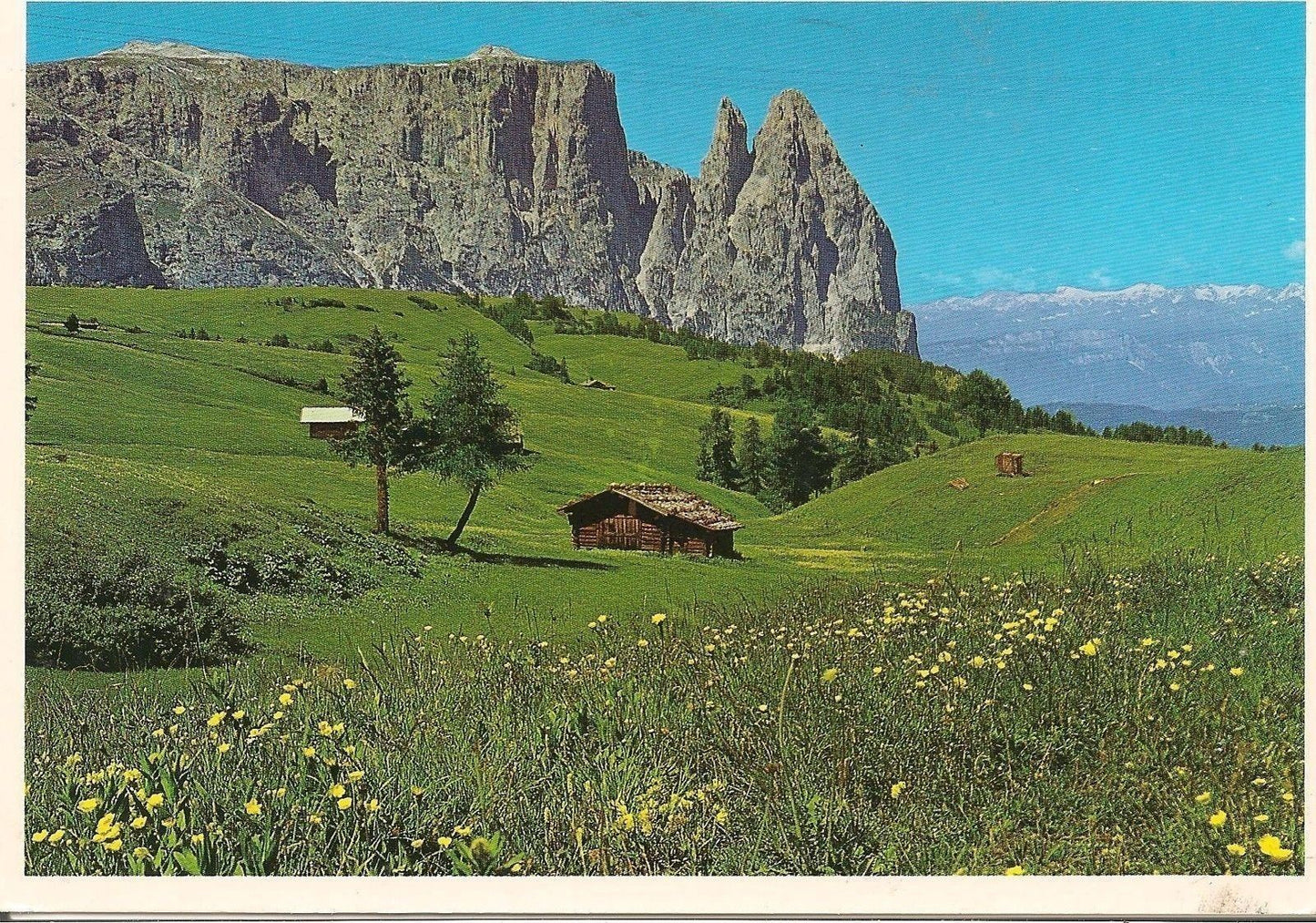 MASSICCIO DELLO SCILIAR - ALPE SIUSI - PANORAMA - V1995
