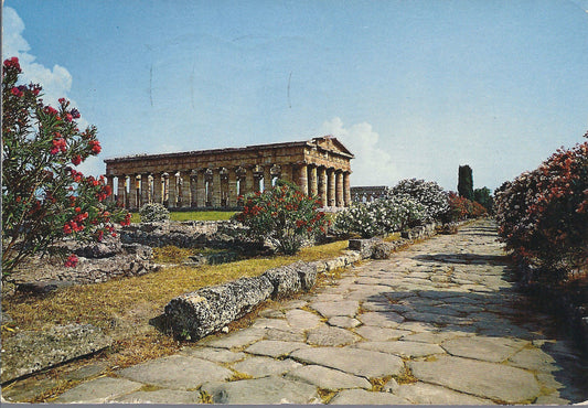 PAESTUM - TEMPIO DI NETTUNO E STRADA ROMANA - V1971