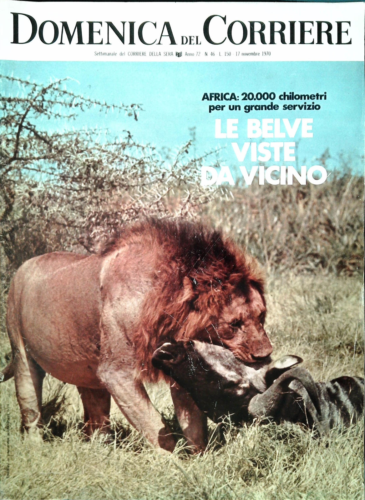 DOMENICA DEL CORRIERE 17 MOVEMBRE 1970 - LE BELVE VISTE DA VICINO