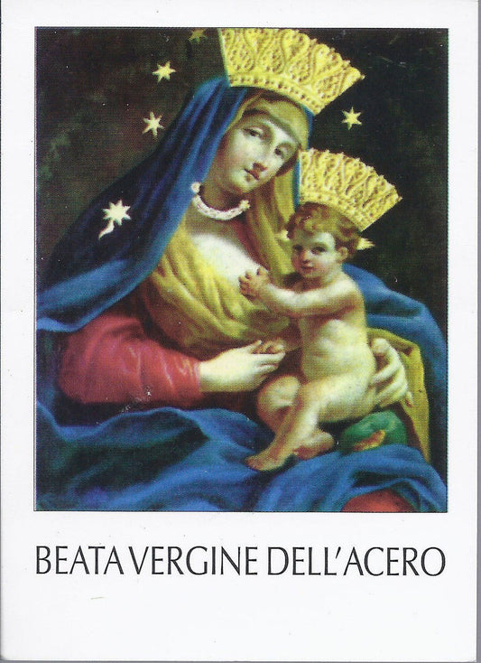 BEATA VERGINE DELL'ACERO - SANTINO - AS013-005