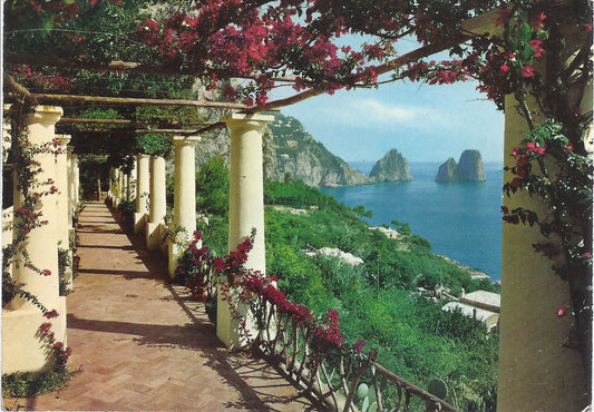 CAPRI - I FARAGLIONI VISTI DA UNA VILLA CAPRESE - V 1964 - FG