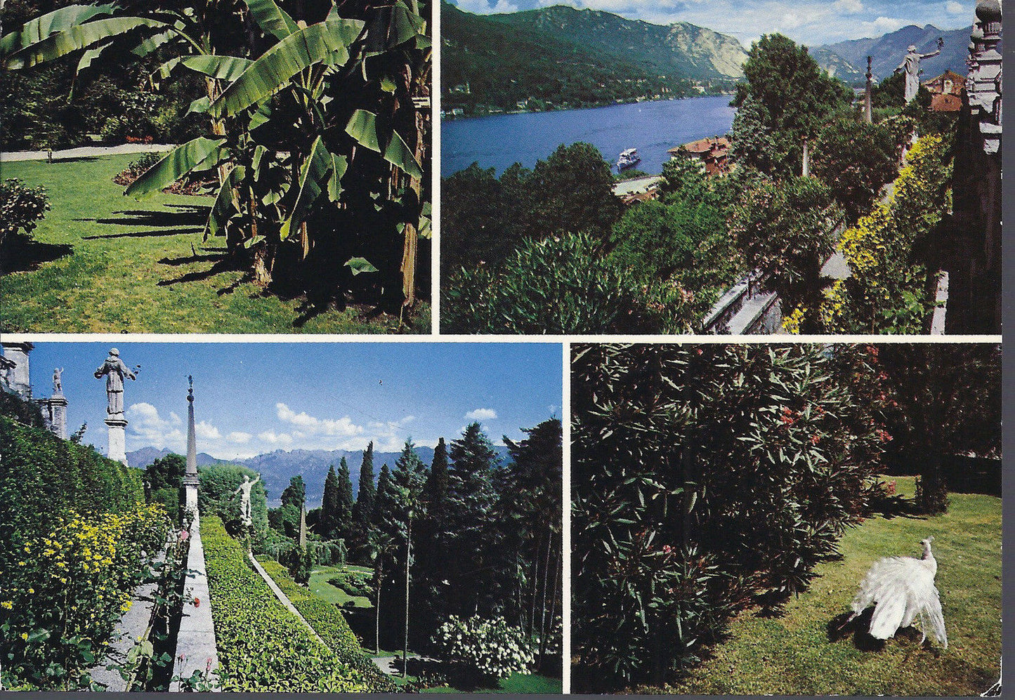 ISOLA BELLA - LAGO MAGGIORE - GIARDINI - 4 VEDUTE - NV - FG
