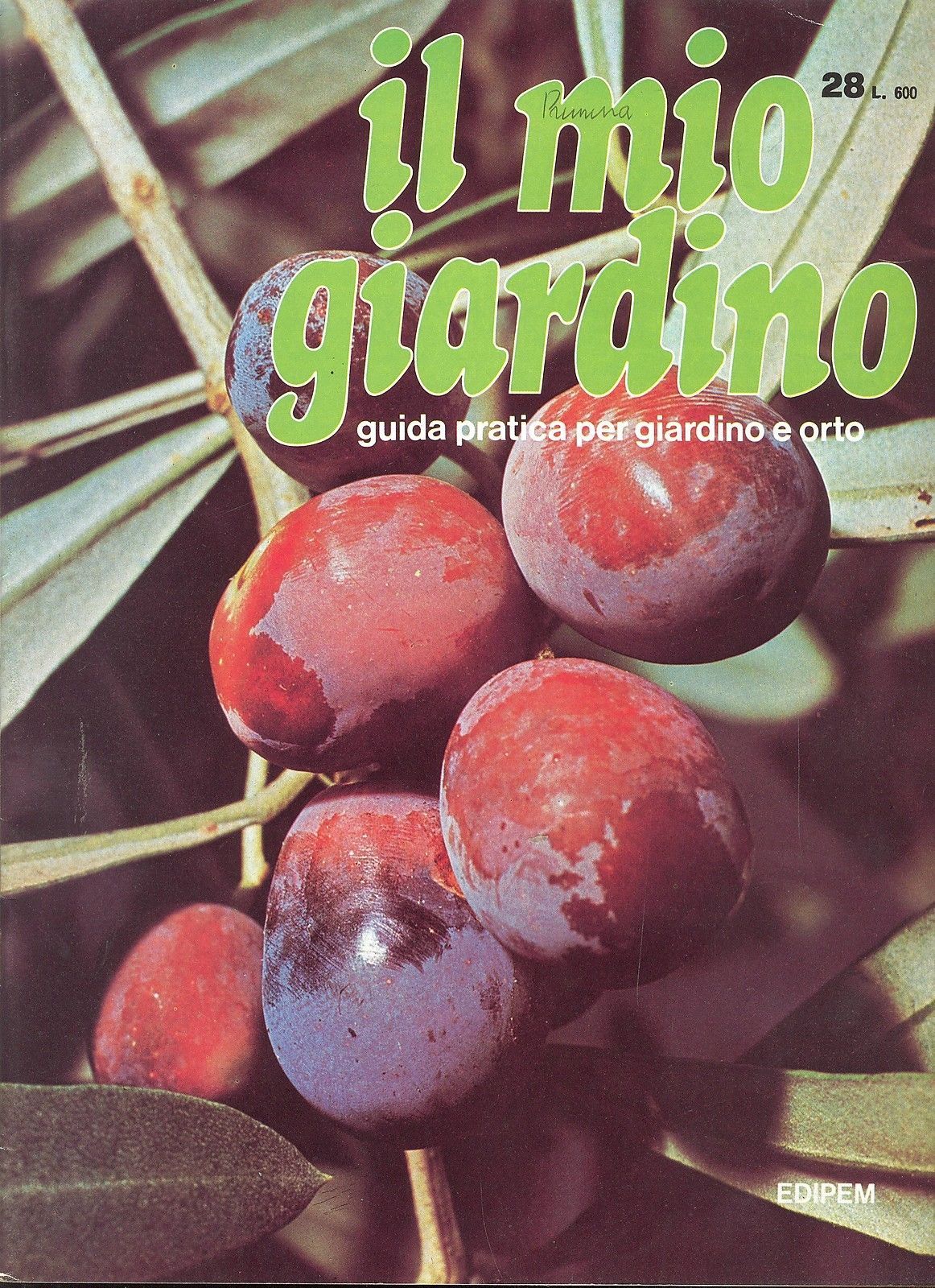 IL MIO GIARDINO N 28