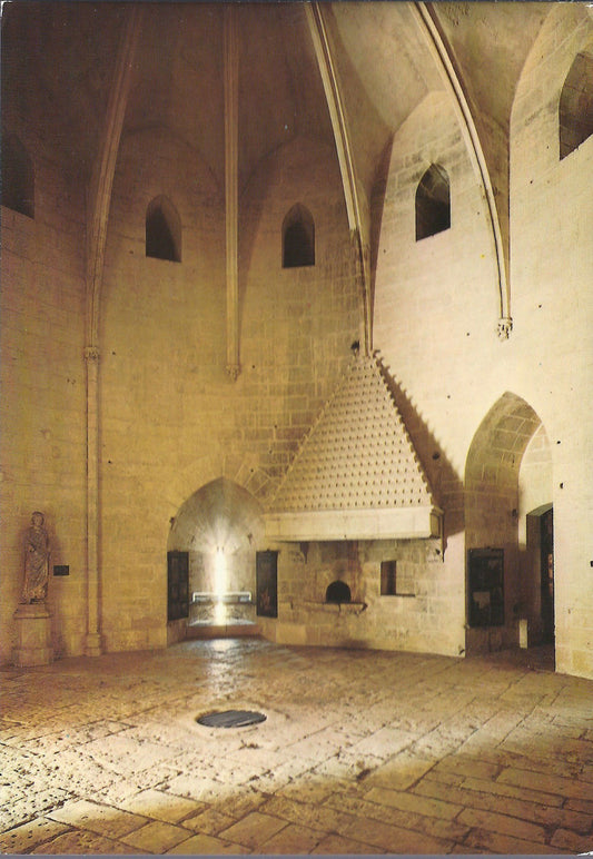 AIGUES-MORTES - TOUR DE CONSTANCES - SALLE DES GARDES - NV