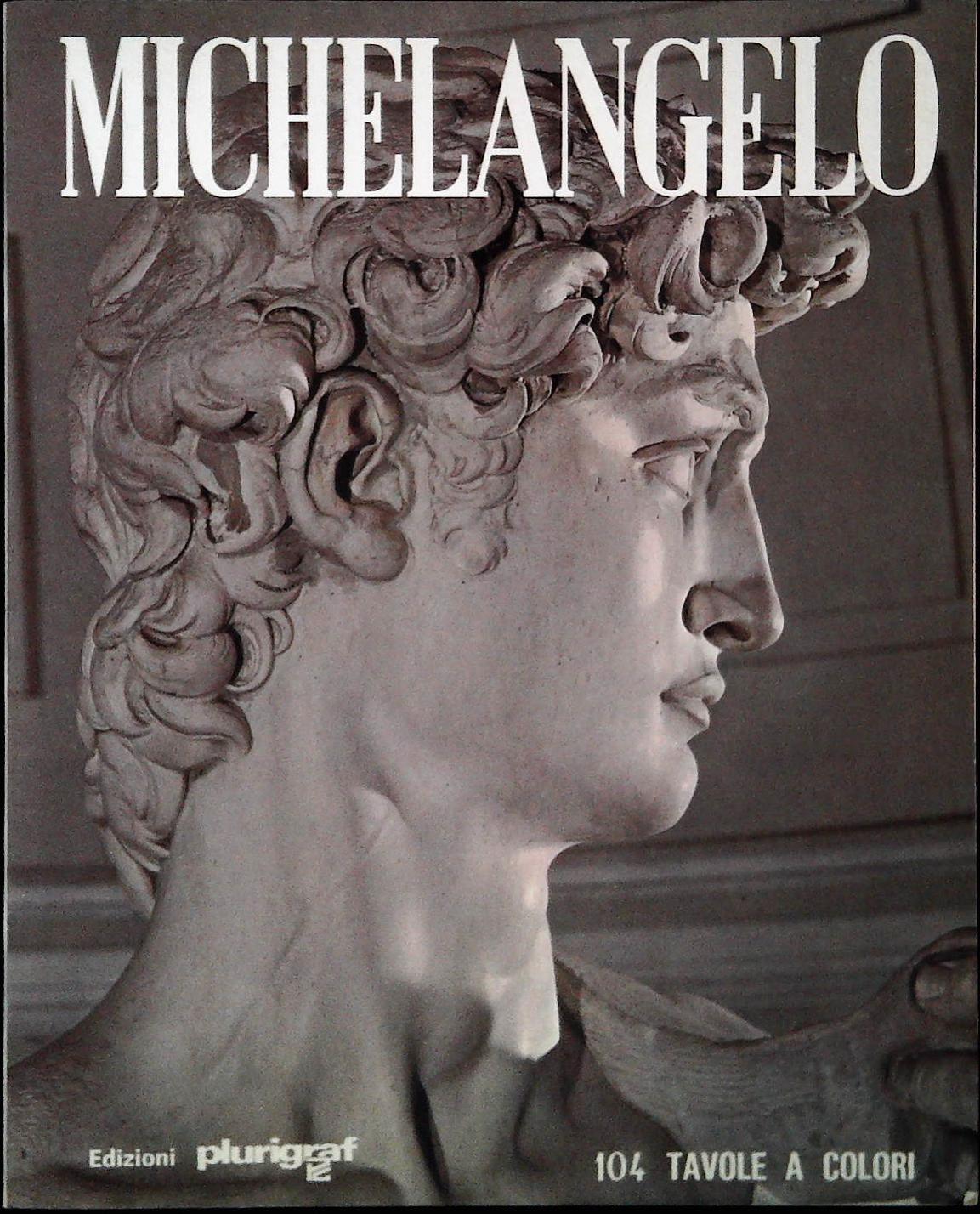 MICHELANGELO - LORETTA SANTINI