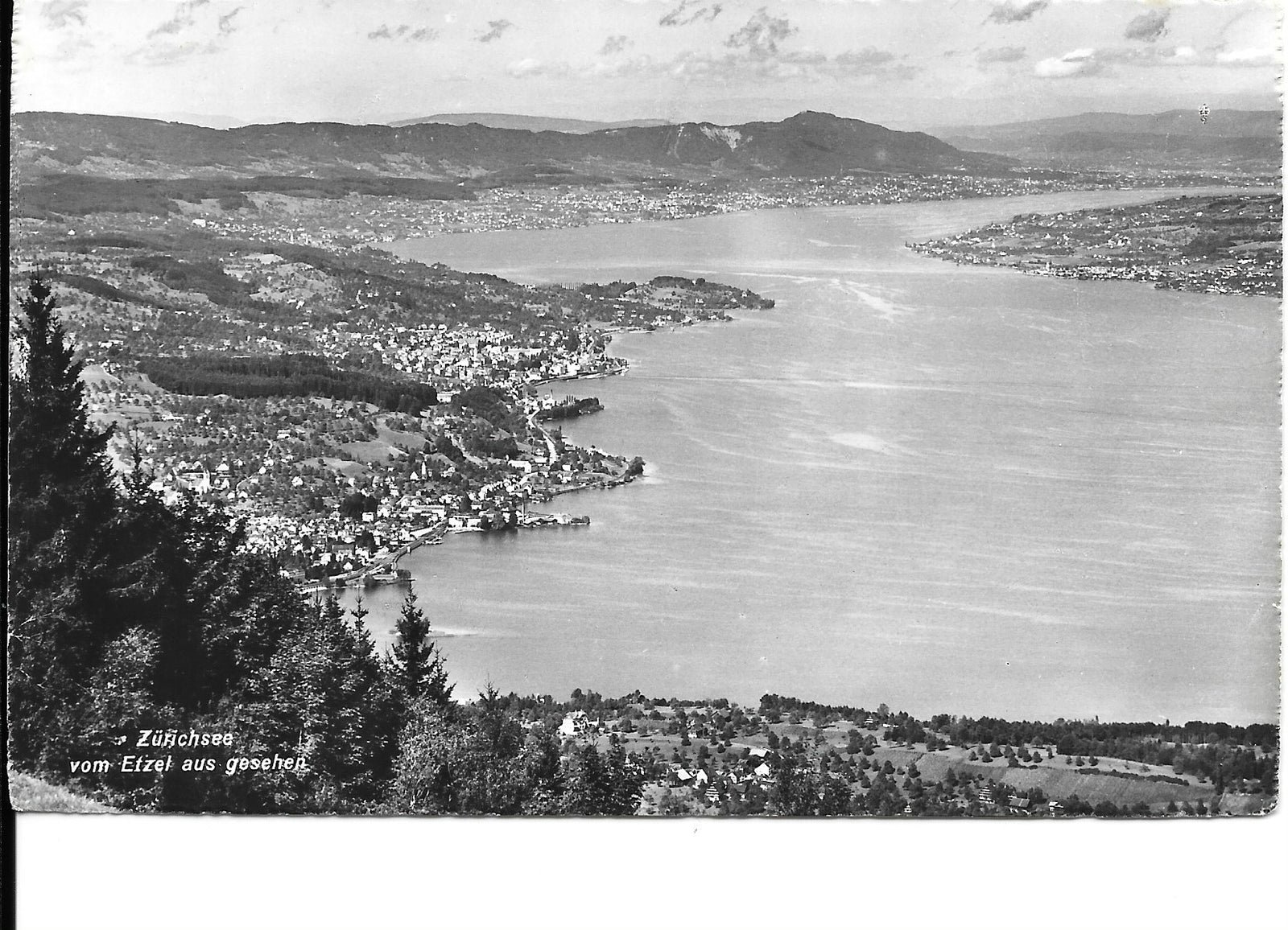 LAGO DI ZURIGO - PANORAMA - VIAGGIATA