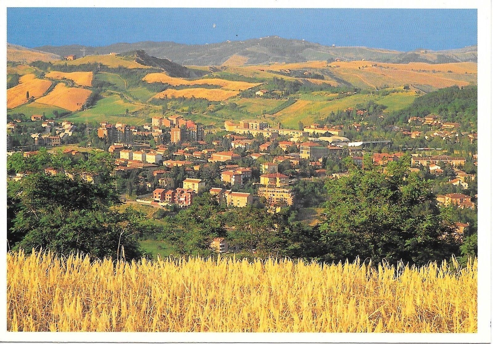 PIANORO NUOVA - PANORAMA - NV