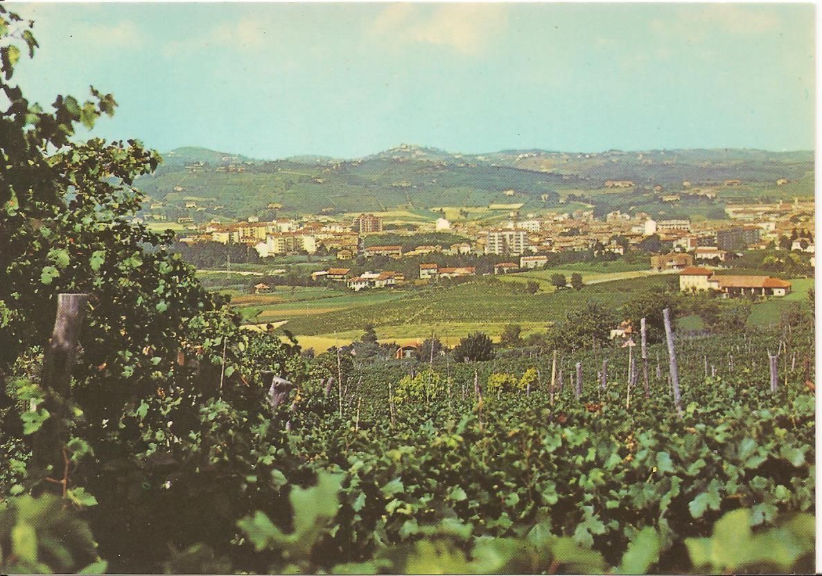 NIZZA MONFERRATO - PANORAMA - NV