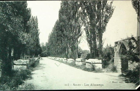ARLES - LES ALISCAMPS - NV