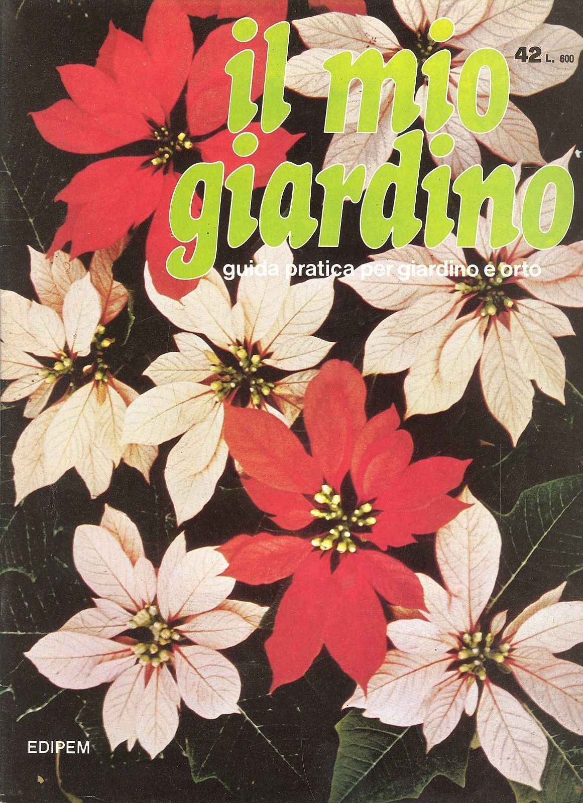 IL MIO GIARDINO N 42