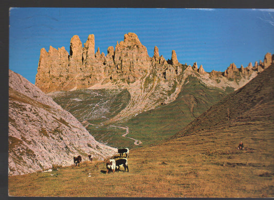 ALPE DI SIUSI VERSO I DENTI DI TERRA ROSSA - VSD