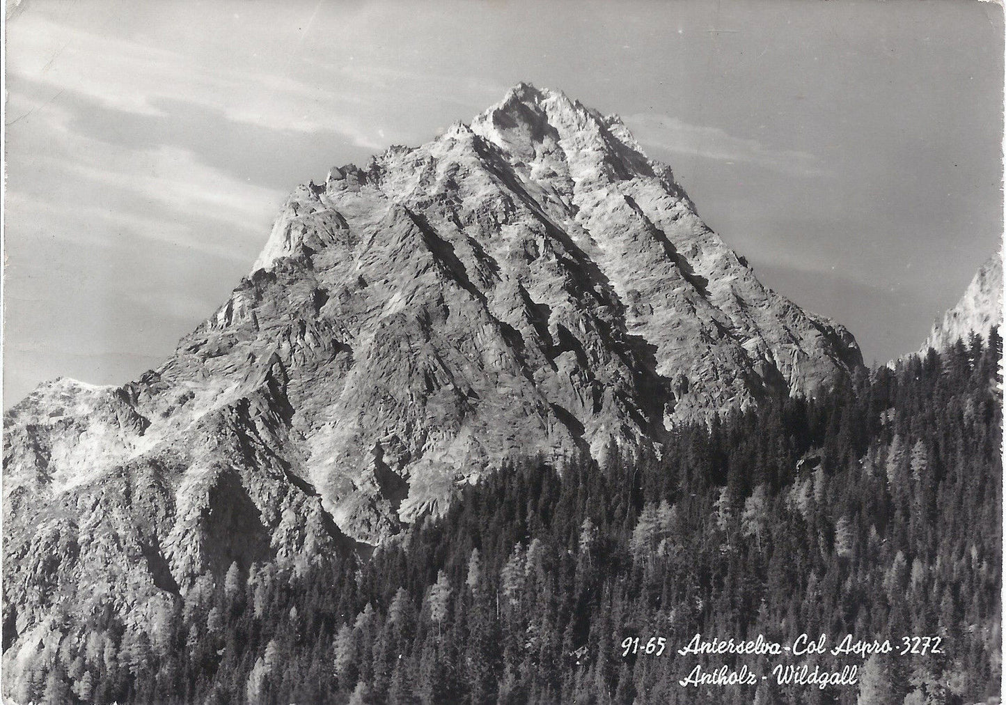 ANTERSELVA  COL ASPRO - ANTHOLZ  WILDGALL - NV - FG