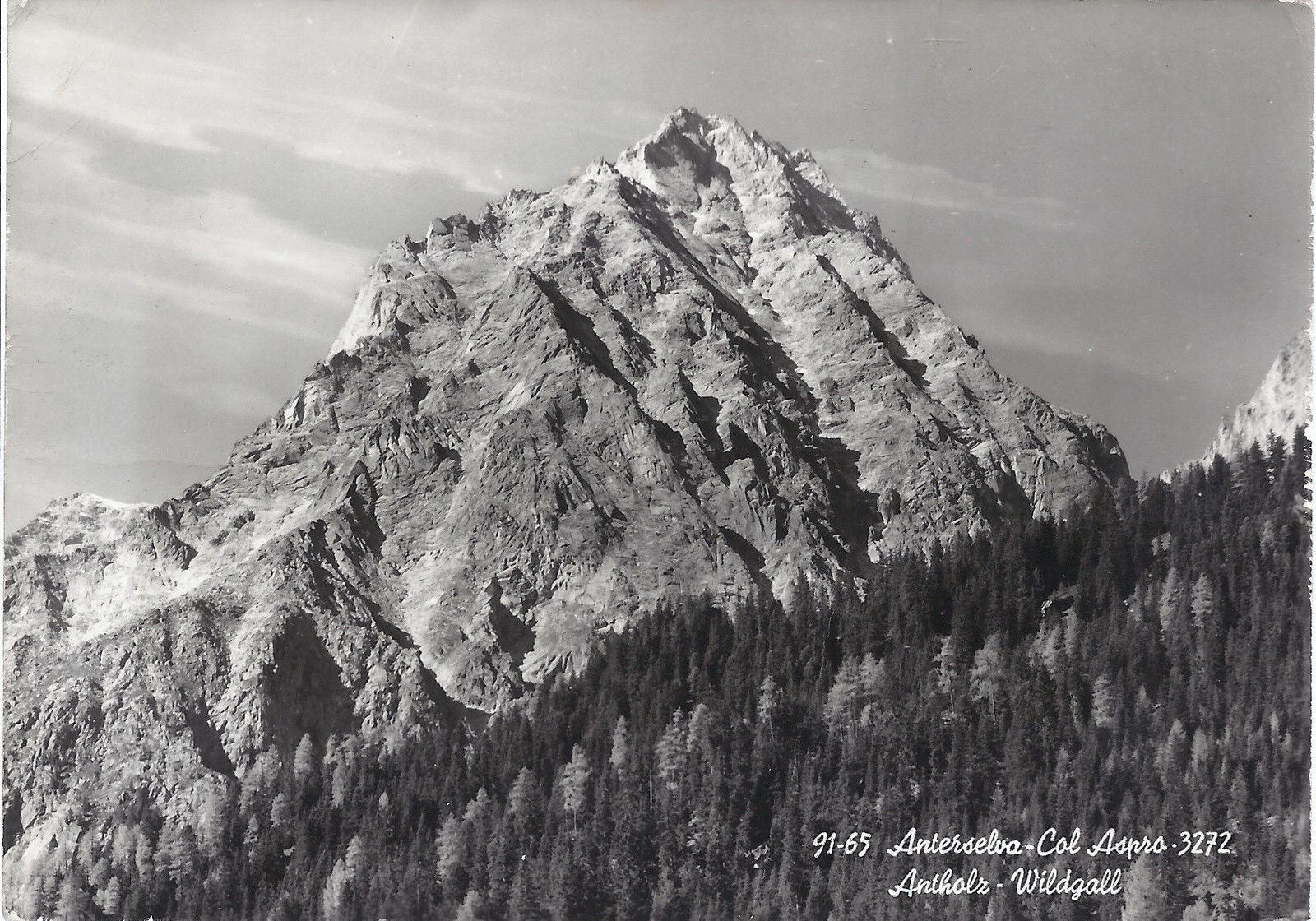 ANTERSELVA  COL ASPRO - ANTHOLZ  WILDGALL - NV - FG