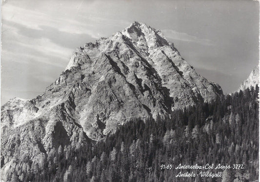 ANTERSELVA  COL ASPRO - ANTHOLZ  WILDGALL - NV - FG