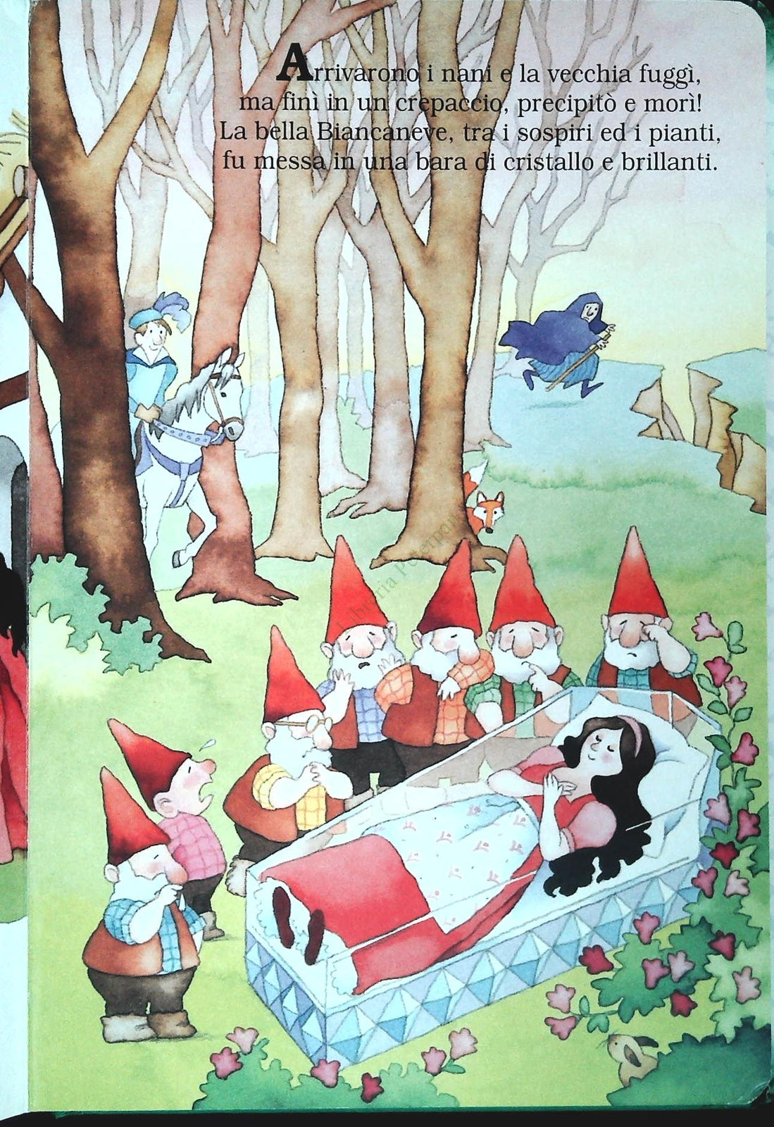 BIANCANEVE E I SETTE NAVI - RICCIOLI D'ORO E I TRE ORSI-OUTLET DEL LIBRO