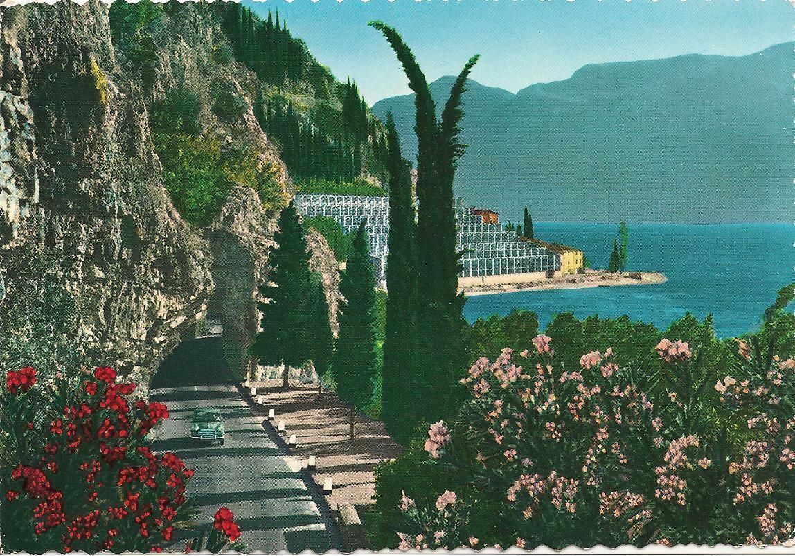 LAGO DI GARDA - LIMONAIE DELLA GARDESANA OCC.- DISEGNATA - A