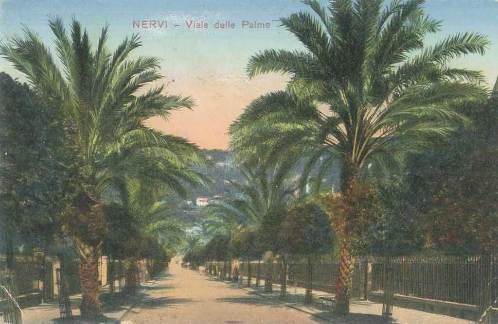 GENOVA NERVI - VIALE DELLE PALME - V ANNI '10 - COLORAT