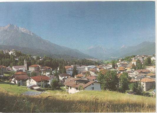 LAGGIO DI CADORE - PANORAMA - V