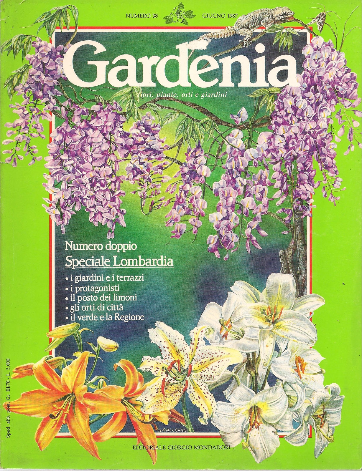 GARDENIA N. 38 - GIUGNO 1987