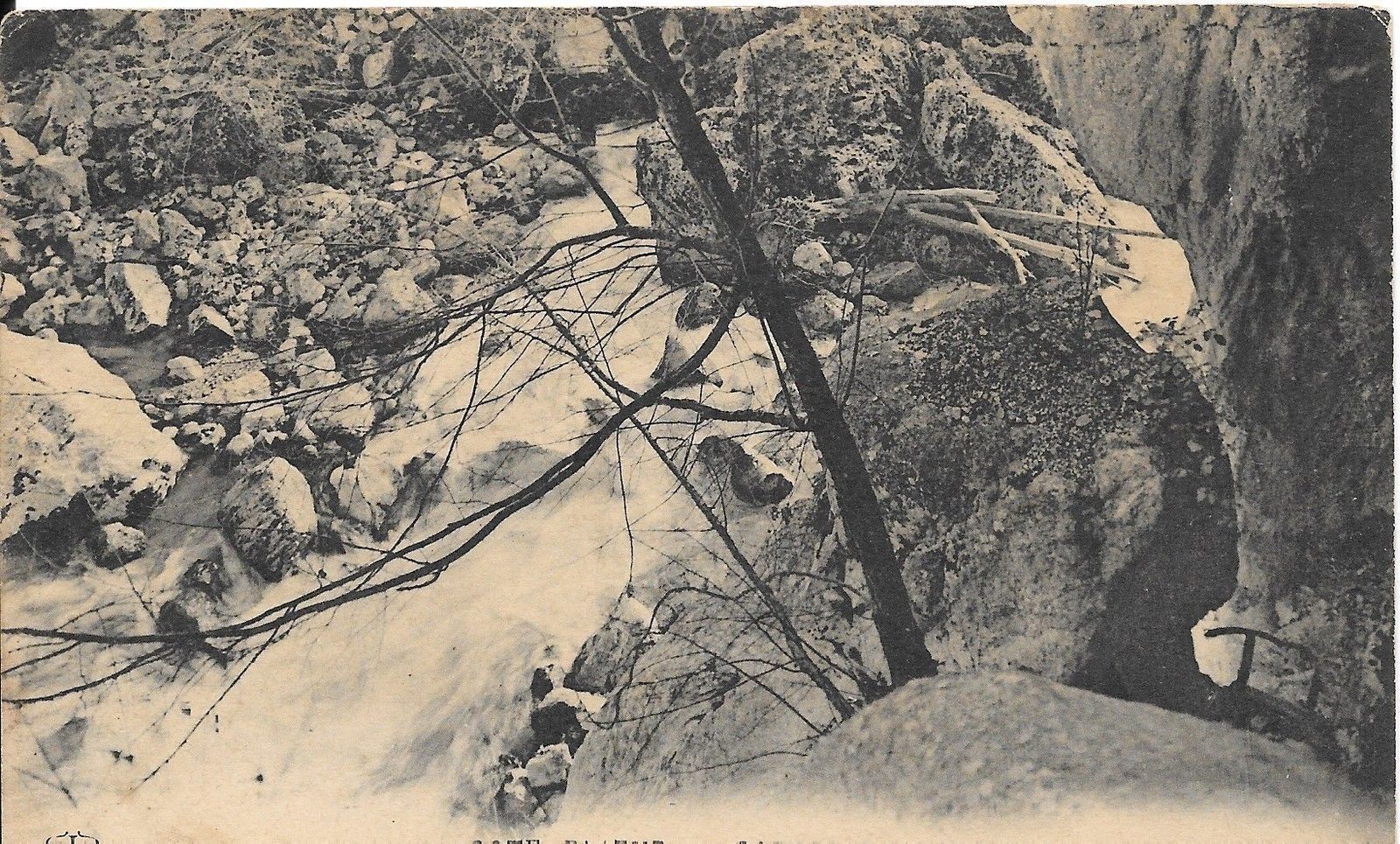 COTE D'AZUR - GOERGES DU LOUP - V
