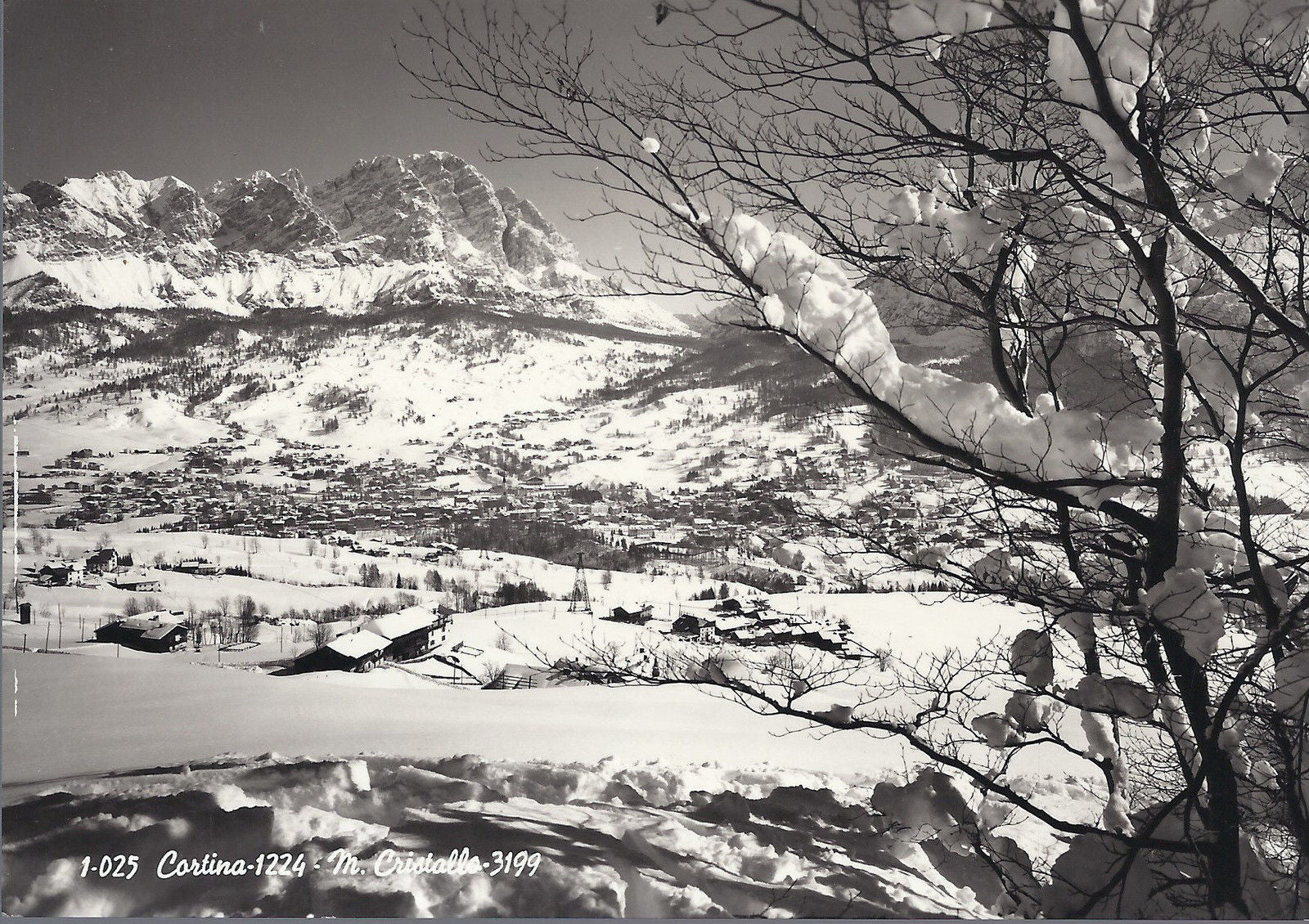 CORTINA - M. CRISTALLO - NV
