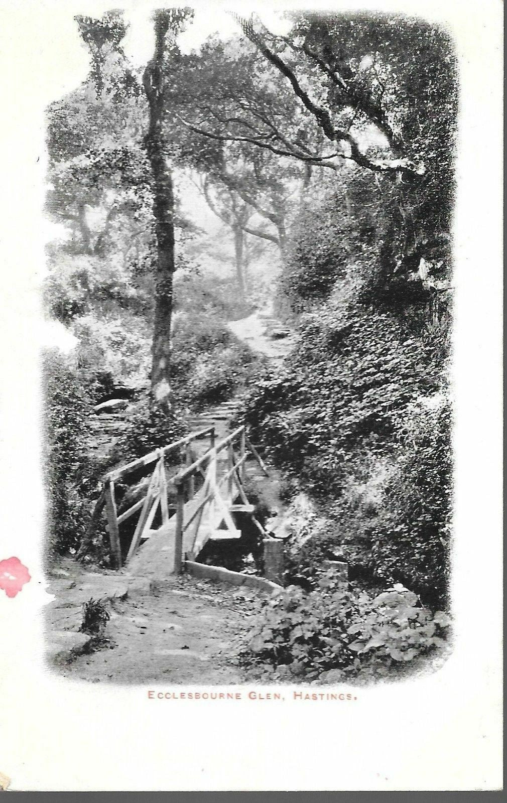 HASTINGS - ECCLESBOURNE GLEN - V/T