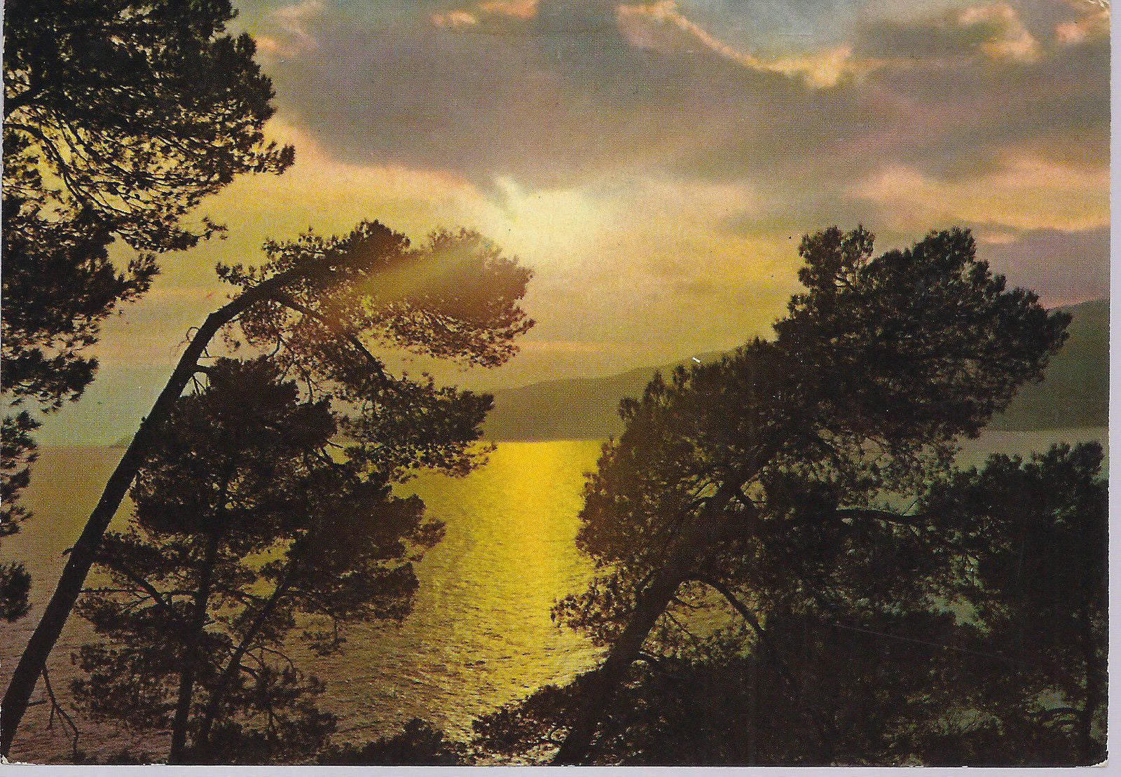 RIVIERA LIGURE - PAESAGGIO - V 1979 - FG