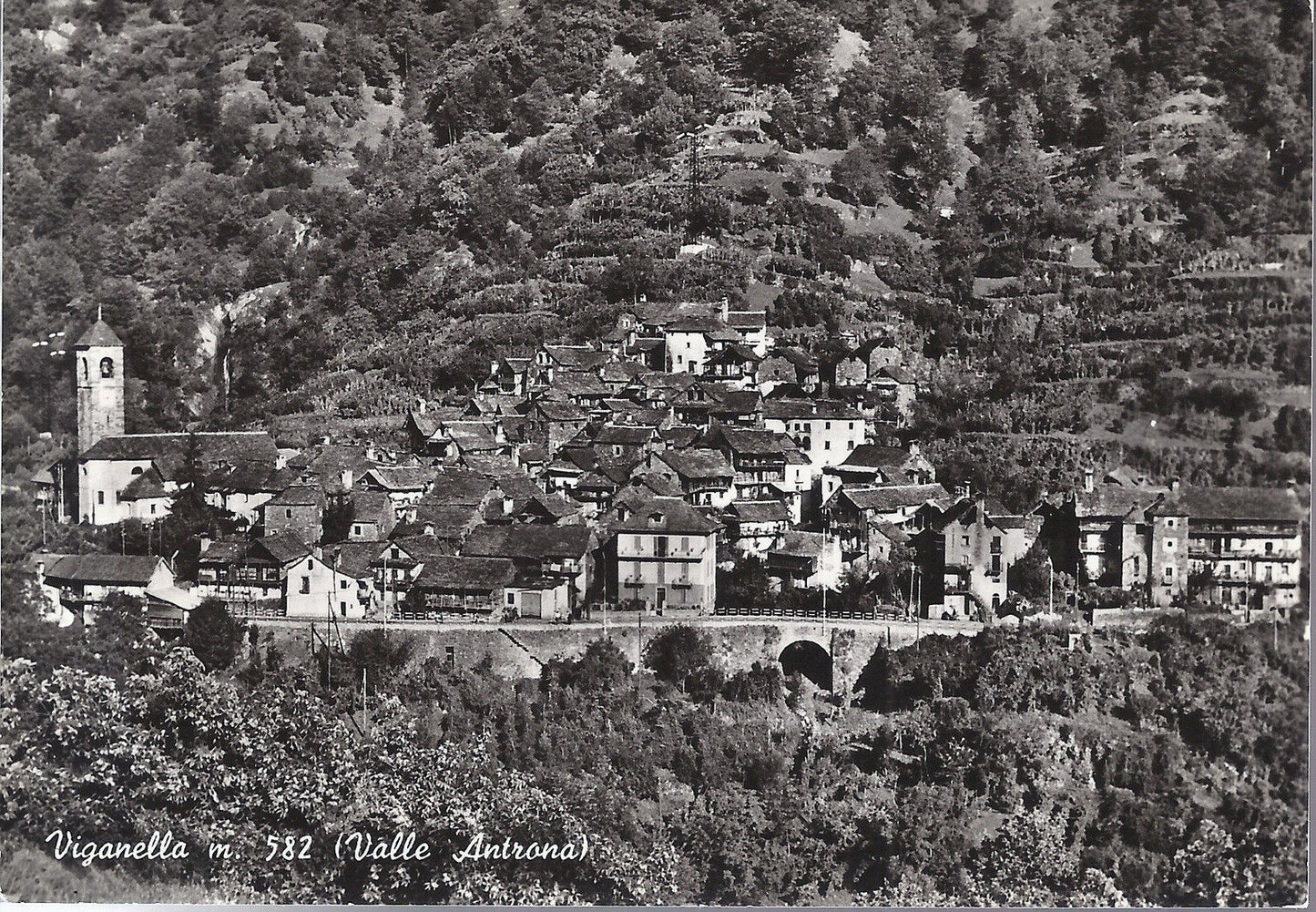 VIGANELLA - VALLE ANTRONA - NV - FG