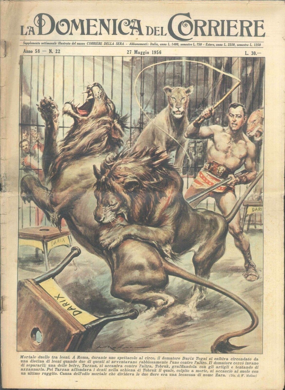 DOMENICA DEL CORRIERE N 22 - 27 MAGGIO 1956 - ILL. WALTER MOLINO