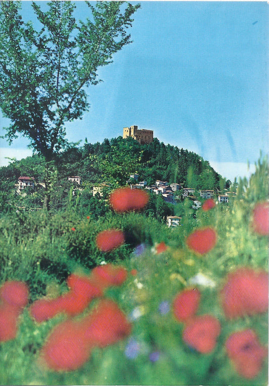 ZAVATTARELLO - PANORAMA -- NV -- FG