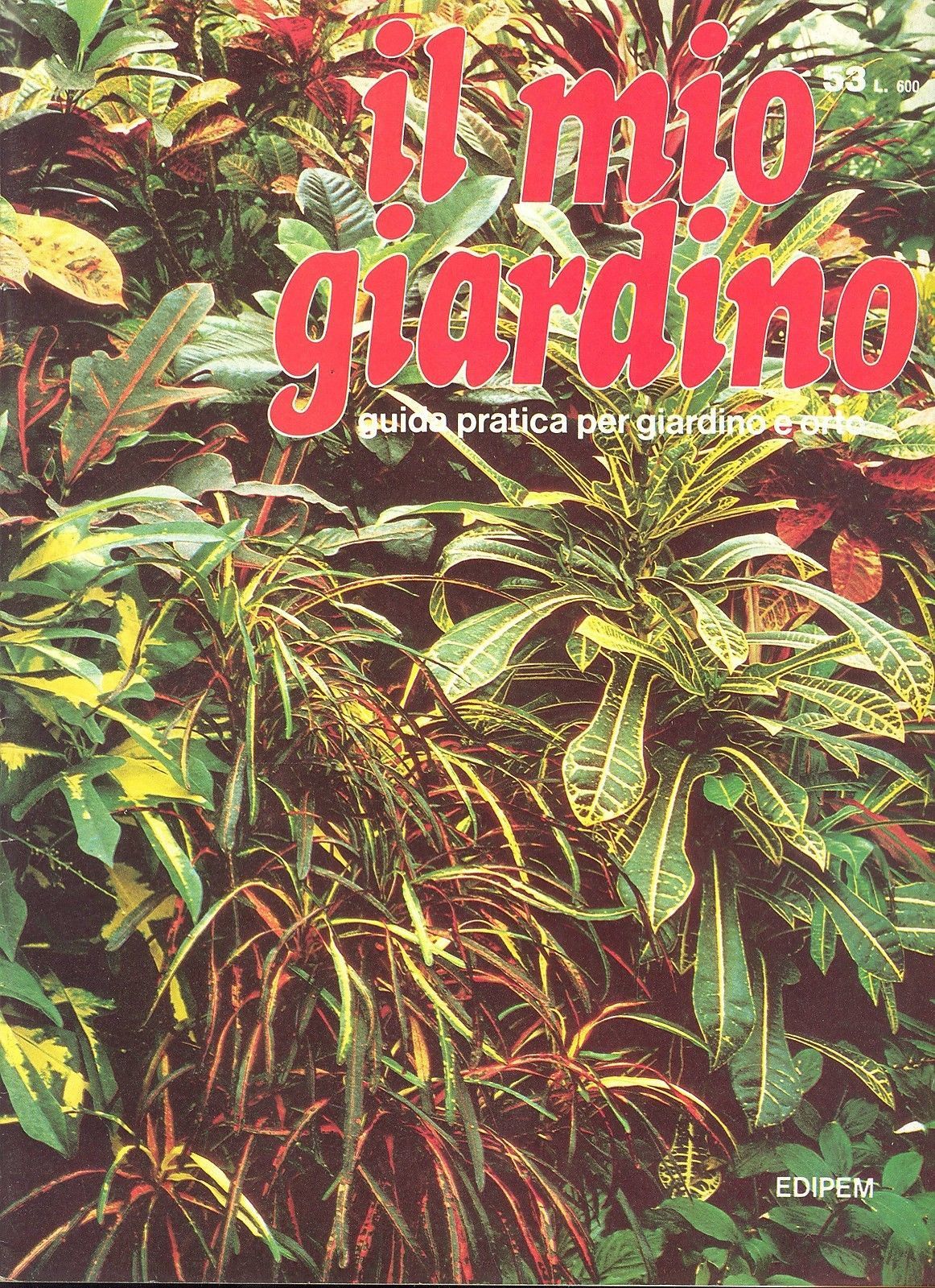 IL MIO GIARDINO N 53