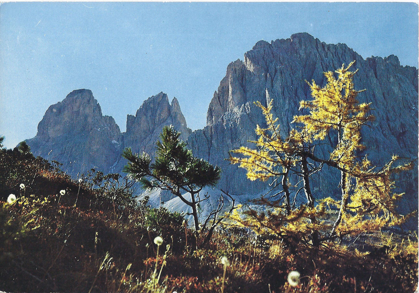 IL SASSOLUNGO  DOLOMITI - LANGKOFEL  DOLOMITEN - NV - FG