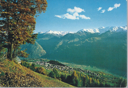 TEGLIO - PANORAMA AUTUNNALE - V 1981 - FG