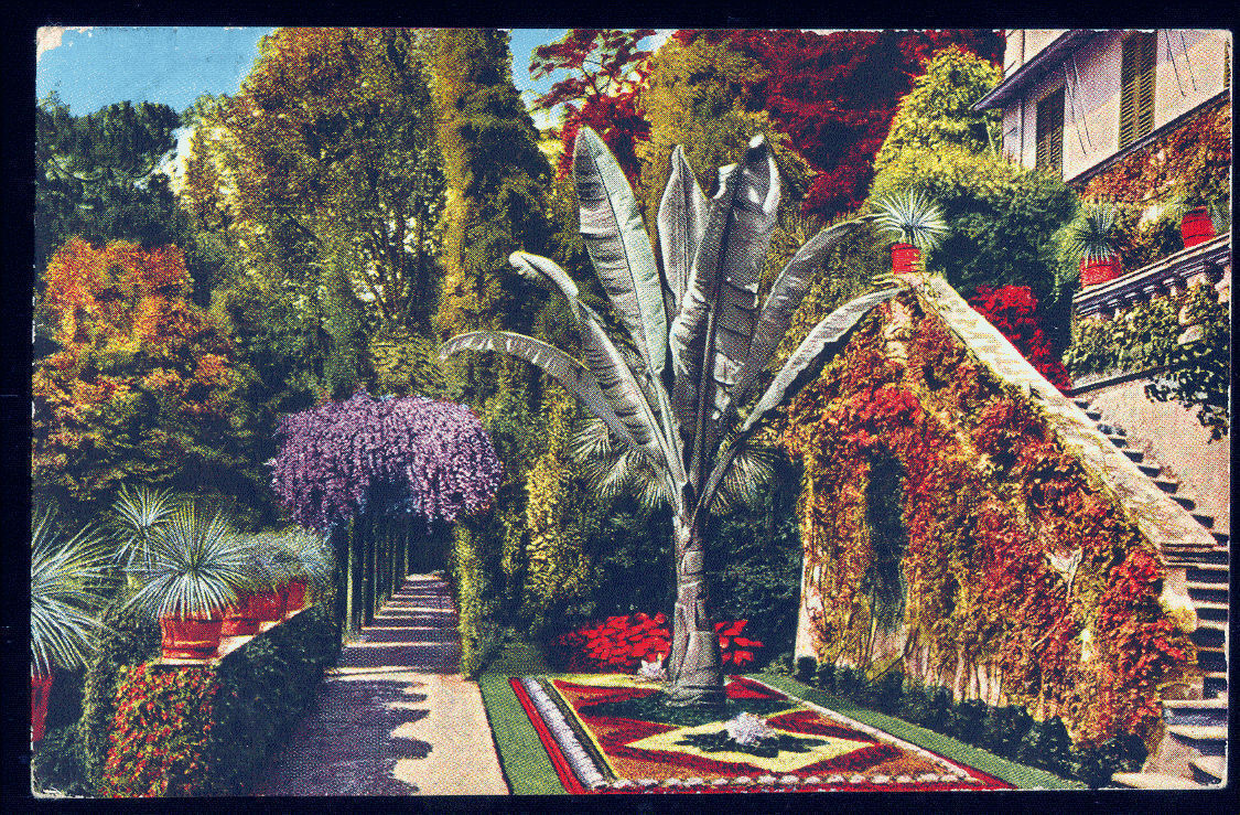 CADENABBIA - GIARDINO DI VILLA CARLOTTA - V1932 - ACQUARELLA