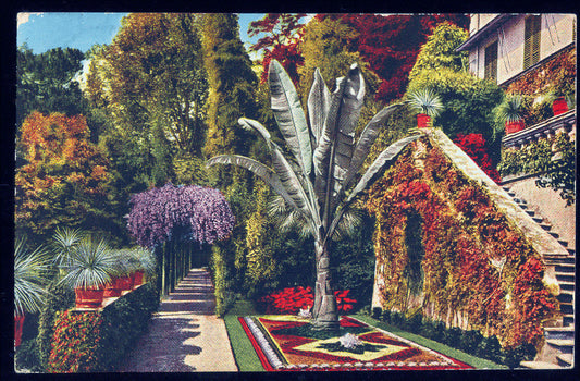 CADENABBIA - GIARDINO DI VILLA CARLOTTA - V1932 - ACQUARELLA
