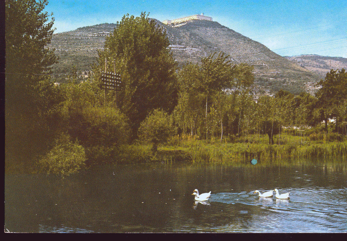 CASSINO - TERME VARRONIANE - V1970