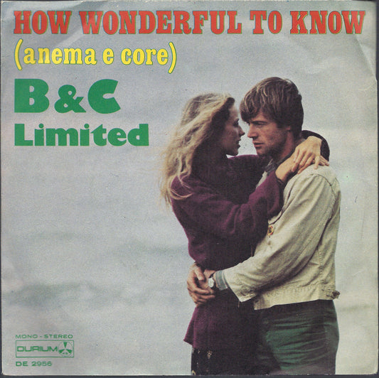 HOW WONDERFUL TO KNOW ( anema e core ) - THAT'S THE WAY # B & C LIMITED