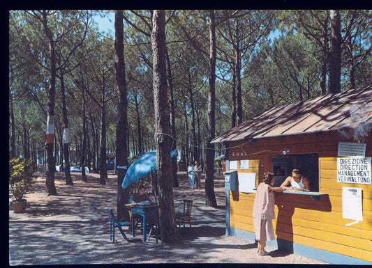 CECINA MARE - CAMPING INTERNAZIONALE - V1960