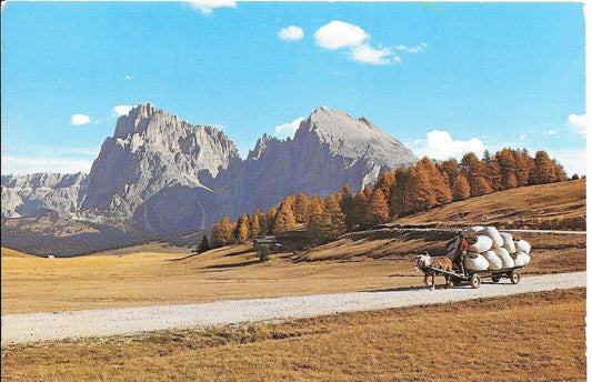 DOLOMITI -ALPE DI SIUSI -IL SASSOLUNGO/DOLOMITEN -SEISERALM 